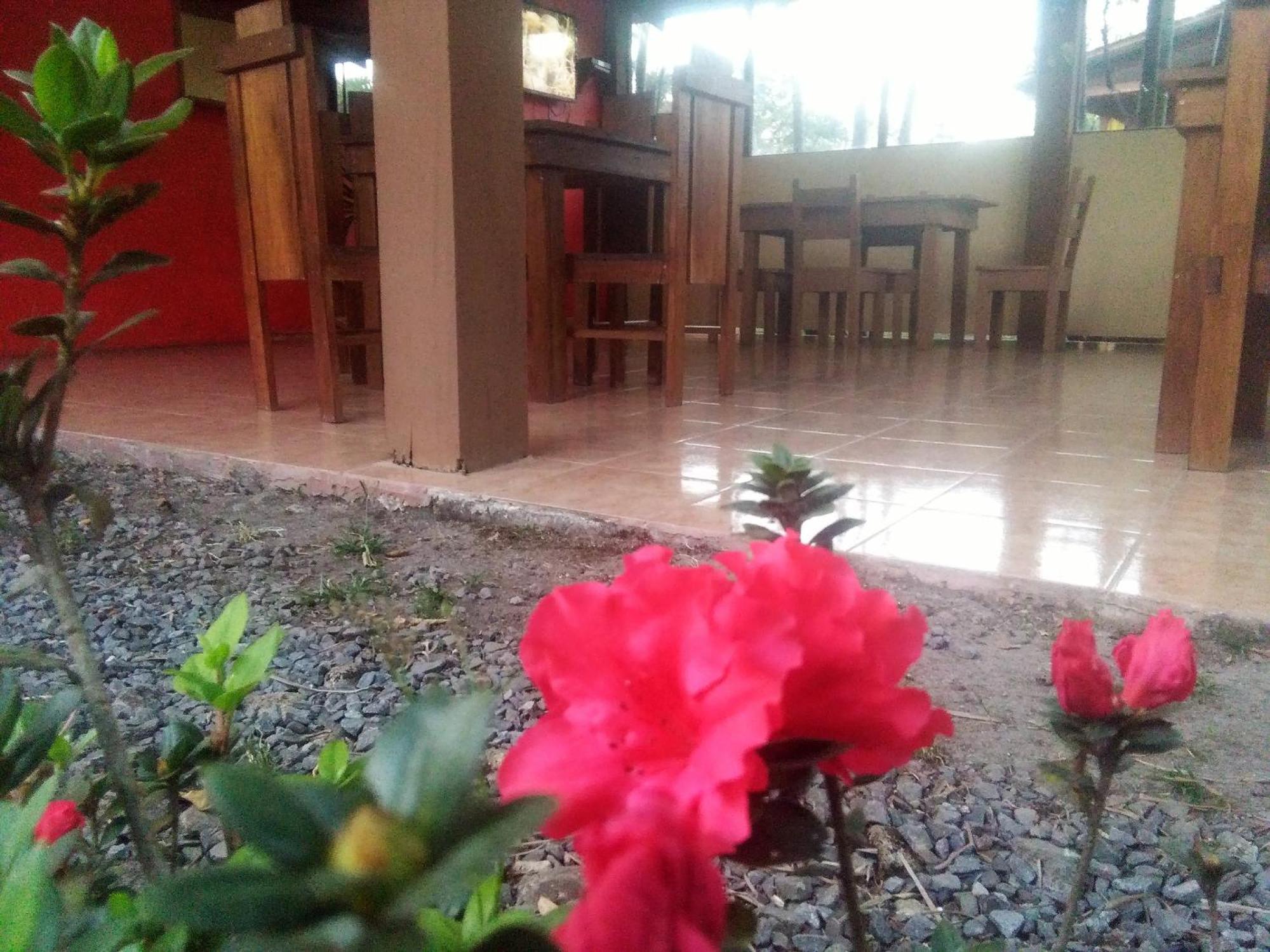 Slow Travel Lodge Upala Luaran gambar