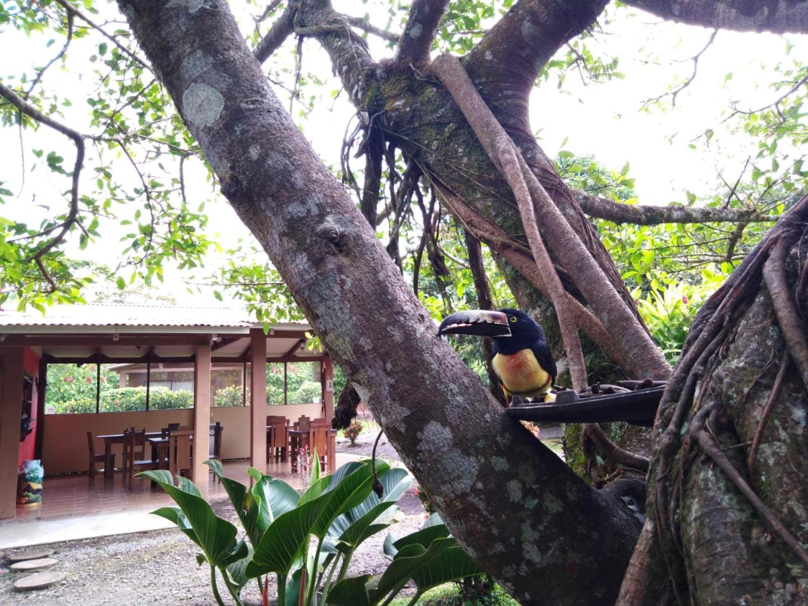 Slow Travel Lodge Upala Luaran gambar